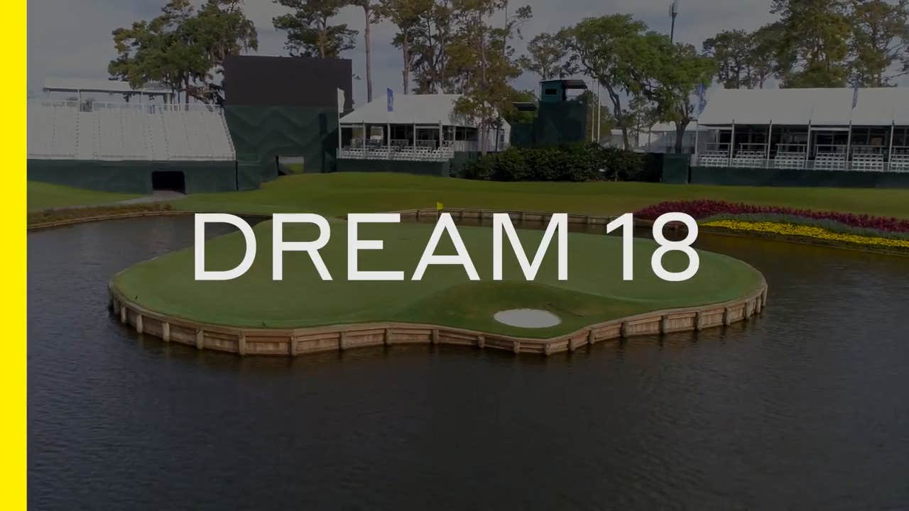 Dream 18